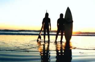The Surfers.jpg